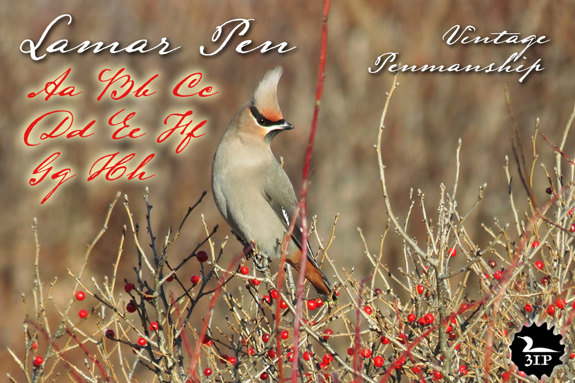 Lamar Pen, an Elegant Antique Script Font